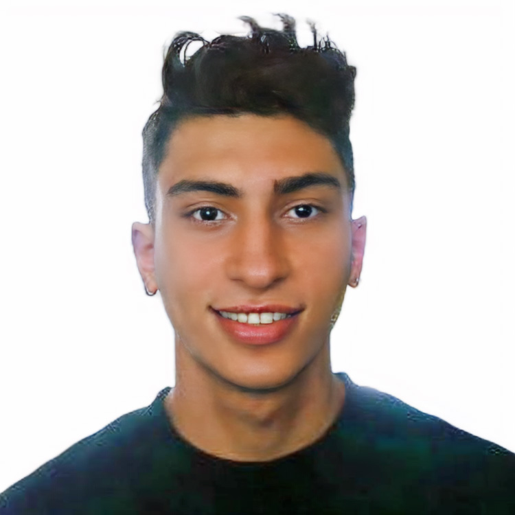 Amirarshia Mosadeghi Dogaheh