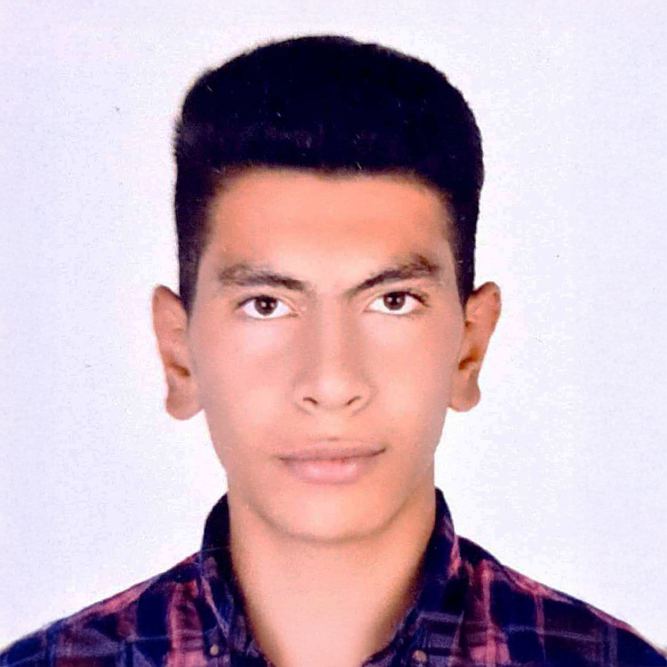 Mohammadreza Ziaei Sisakhti